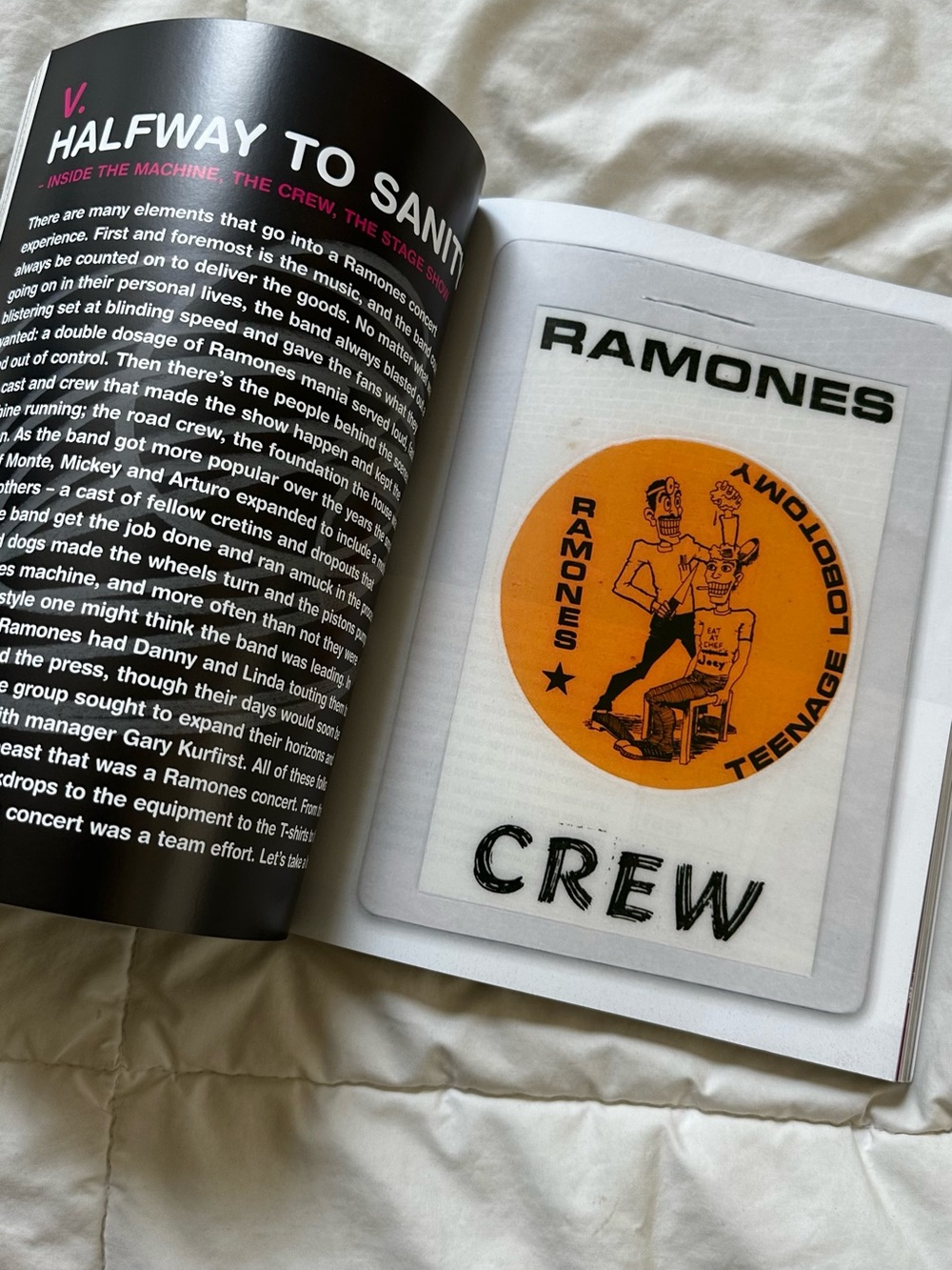 ON THE ROAD WITH -THE RAMONES COFFEE TABLE BOOK ~ Updated Edition! - Picture 3 of 9